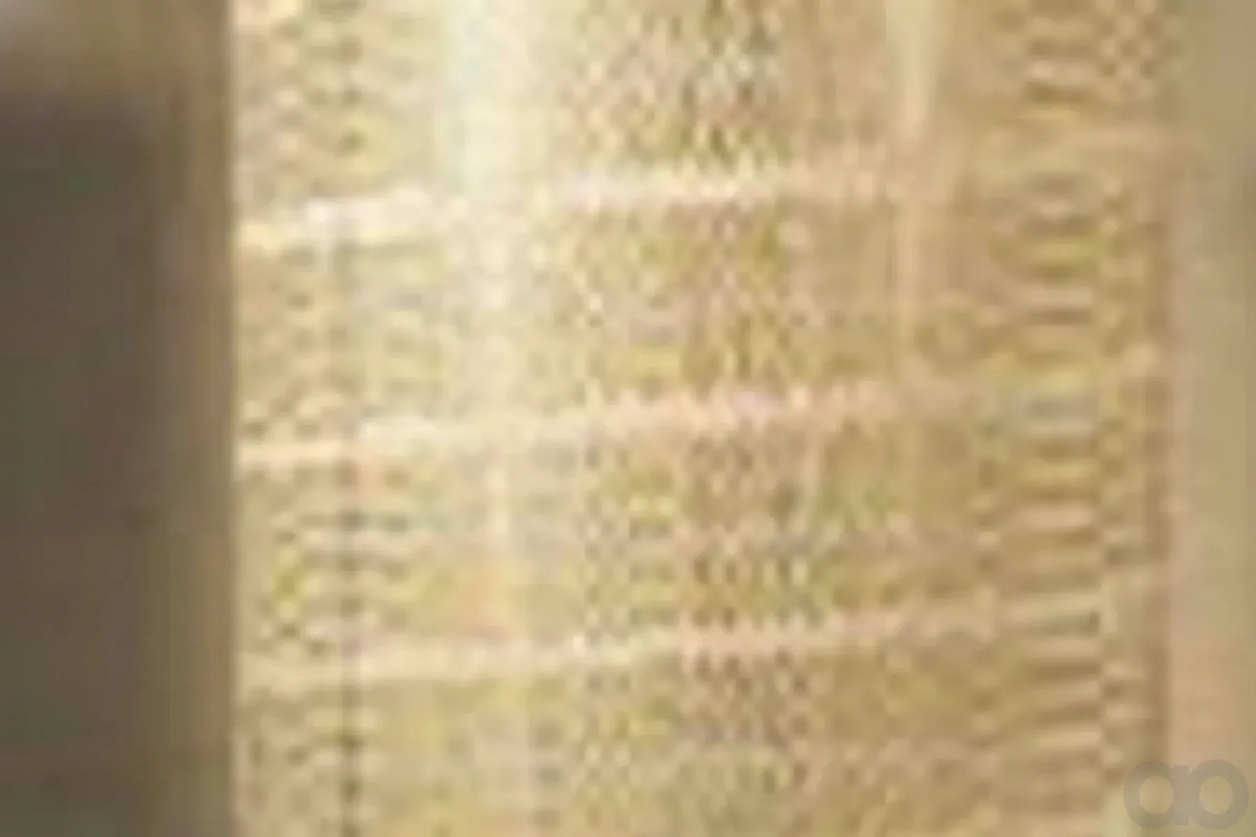 Case IH - AF25469 - Luftfilter