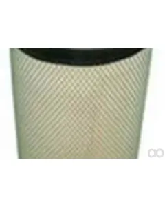 Case IH - AF25897 - Luftfilter