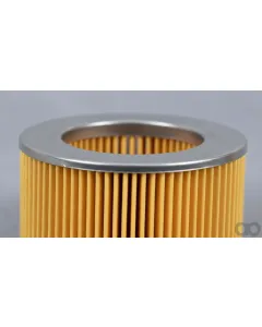 Case IH - AF4621 - Luftfilter