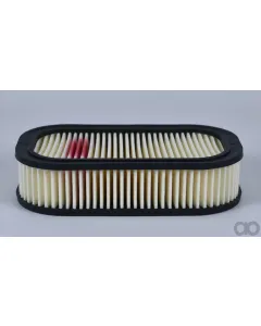 Case IH - AF4623 - Luftfilter
