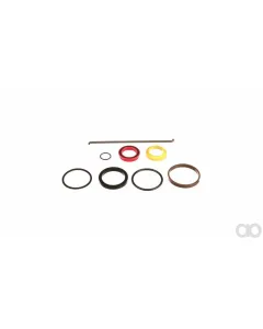 Case IH - BN307206 - Dichtungssatz