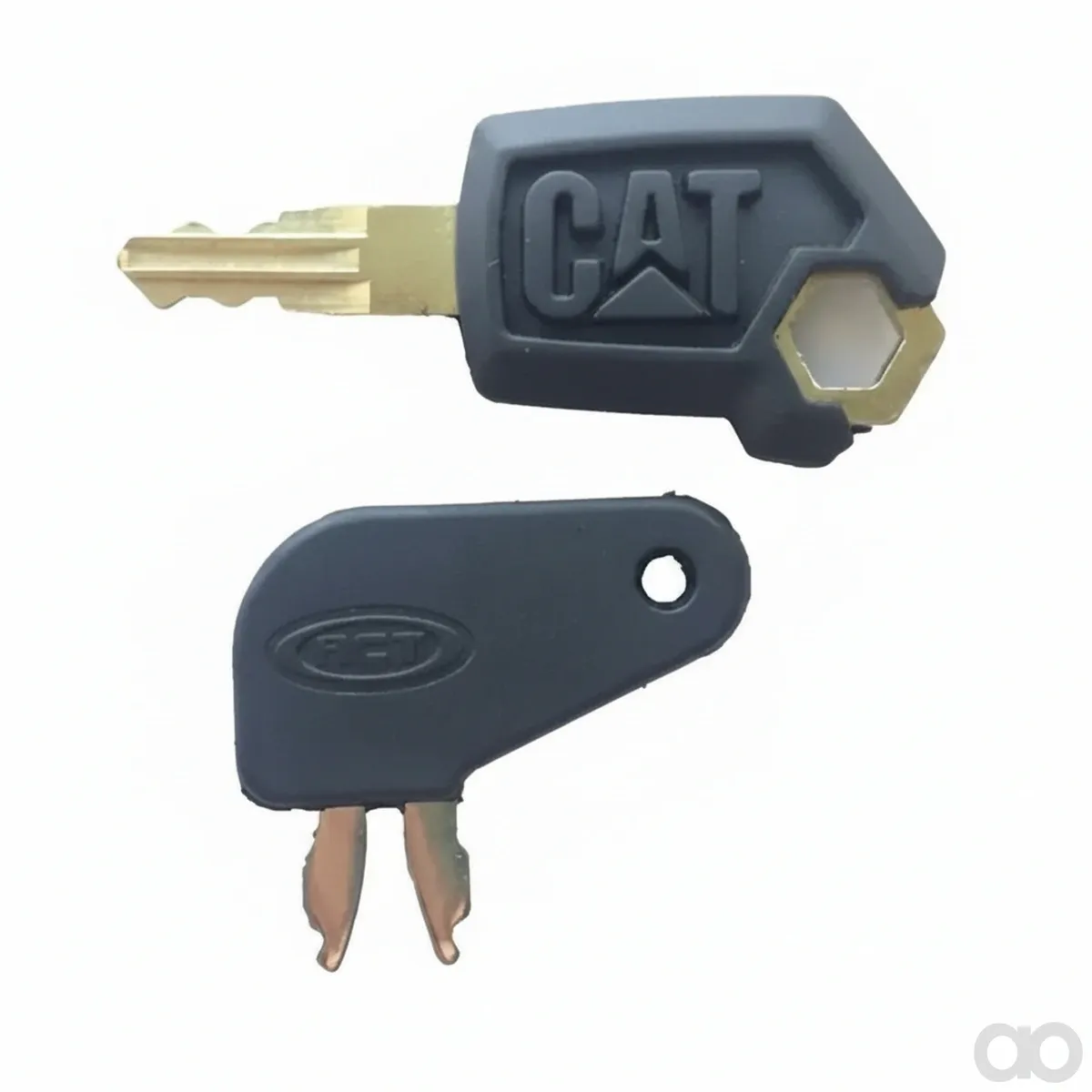 CAT - 4169885 - Schnueffler