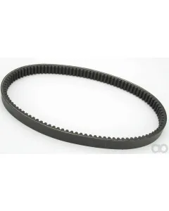 CAT - 4220657 - Riemen