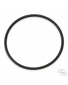Challenger - 1313718 - O-Ring, Hydraulikfilter, PTO, Lenkung