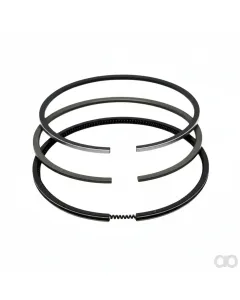 Claas - 7701032469 - Kolbenringset