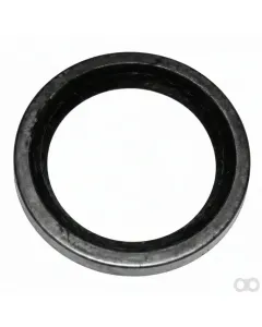 DAF - 259939 - Sicherungsring