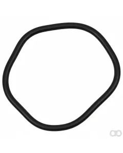 Fendt - 3388928M1 - O-Ring, Getriebe