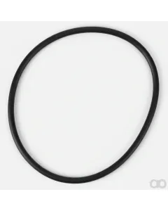 Fendt - F339860060010 - O-Ring, Oelfilter