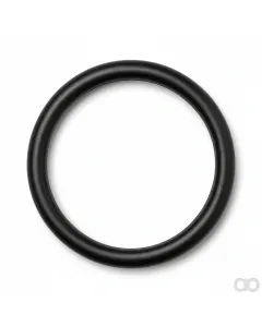 Fendt - F920200710050 - O-Ring