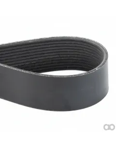Fendt - V685121555 - Serpentinenriemen, PK12-Profil