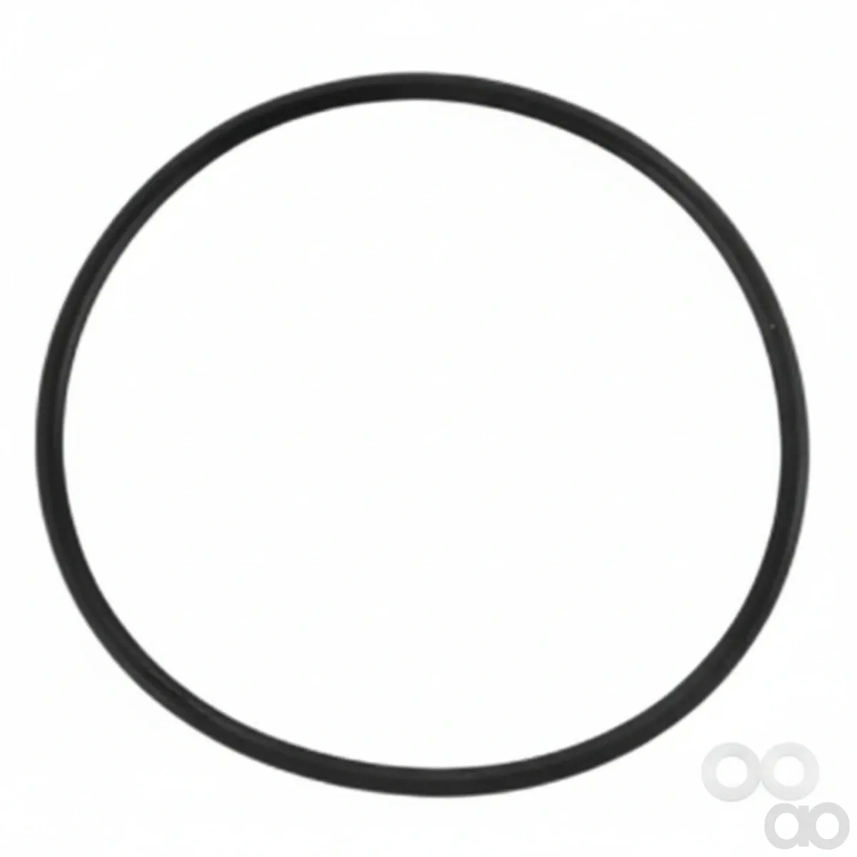 Fendt - X548955900000 - O-Ring