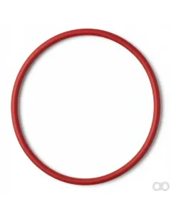 Fendt - X549025701000 - O-Ring