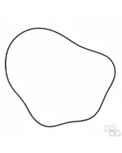 Fendt - X549043900000 - O-Ring