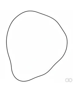 Fendt - X549045400000 - O-Ring, Achsgehaeuse