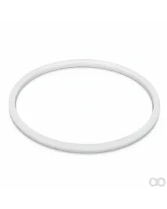Fendt - X561930300000 - V-Ring