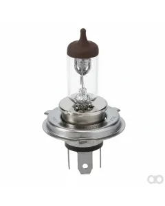 Fendt - X825283248000 - Lampe, H4 12V 60/55W