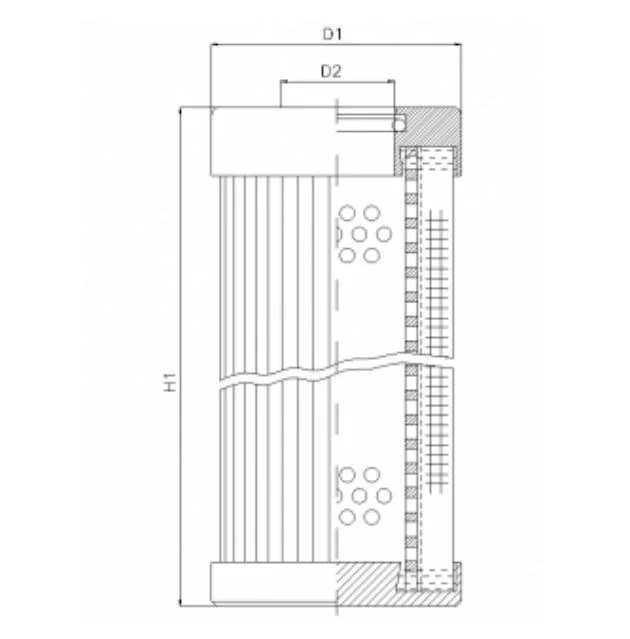 Filtrec - D1100G06BV - Hydraulikfilterelement (Druckfilter)