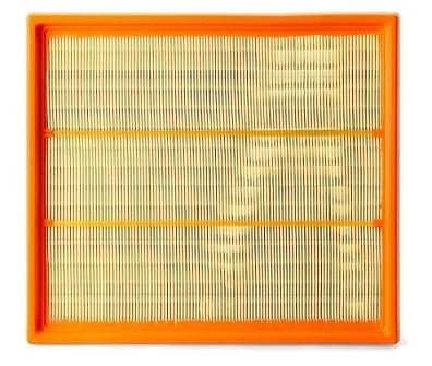 Fleetguard - AF25306 - Luftfilterelement