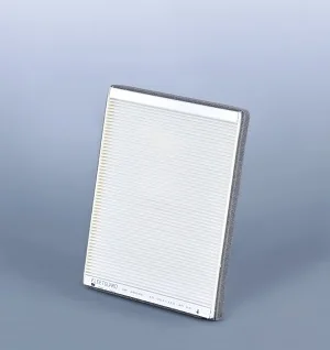 Fleetguard - AF25840 - Innenraumfilterelement