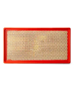 Fleetguard - AF27959 - Luftfilterelement