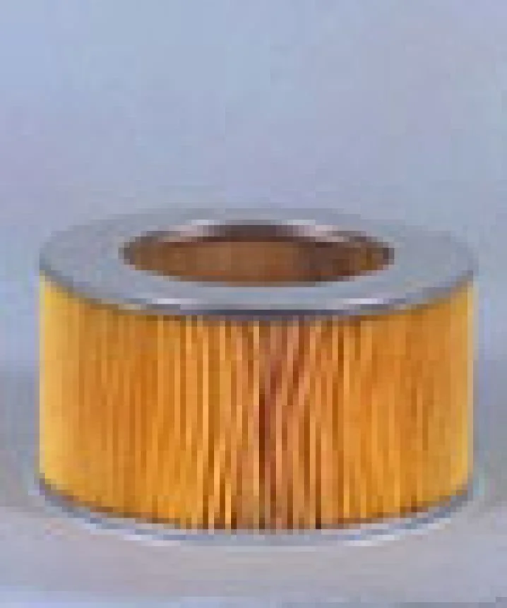 Fleetguard - AF4621 - Luftfilterelement