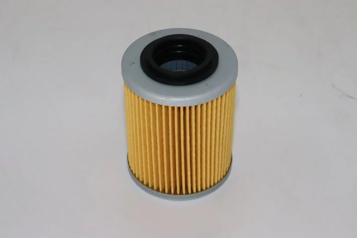 Hifi Filter - SO 6922 - Ölfilterelement