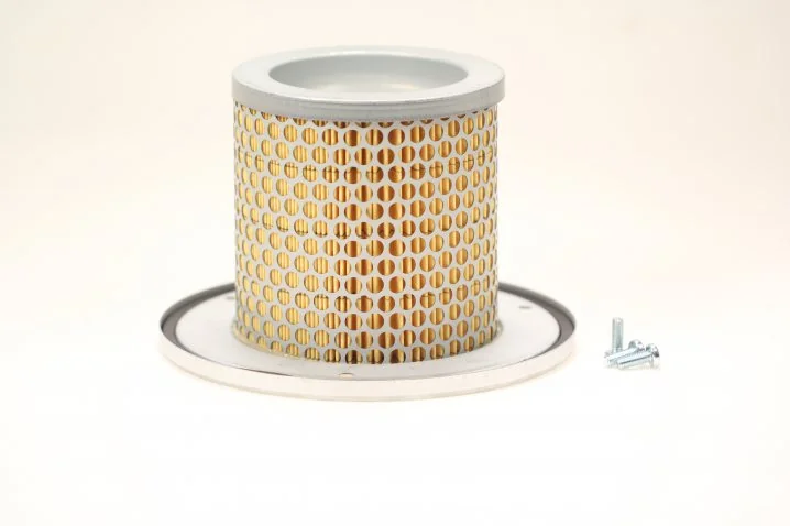 Mann-Filter - C 1342 KIT - Luftfilterelement (Servicekit)