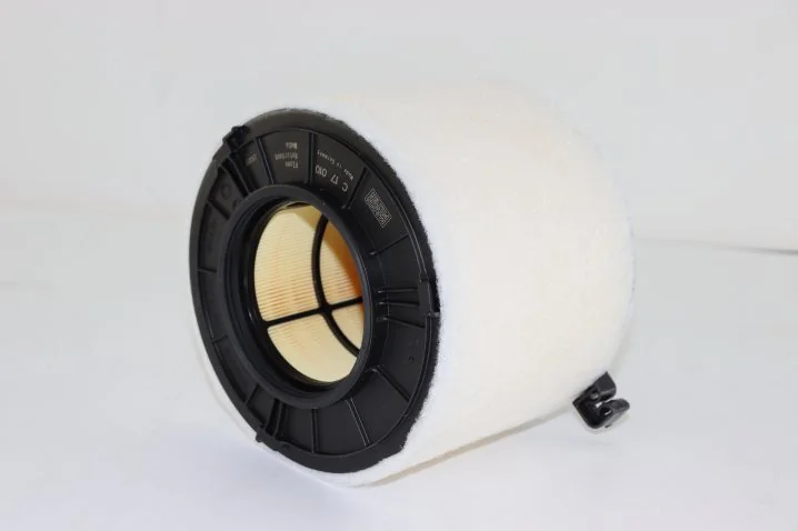 Mann-Filter - C 17 010 - Luftfilterelement