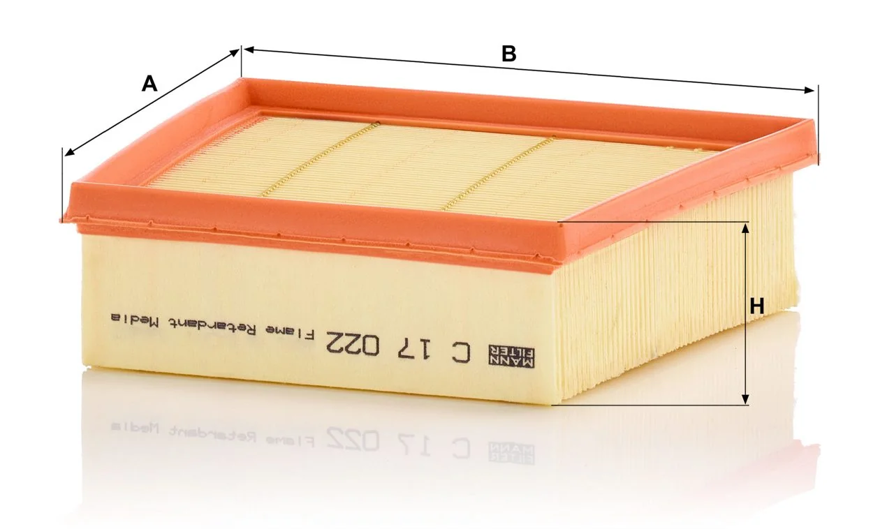 Mann-Filter - C 17 022 - Luftfilterelement