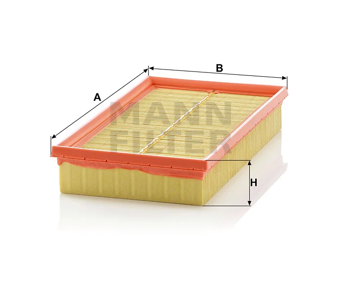 Mann-Filter - C 2982 KIT - Luftfilterelement (Servicekit)