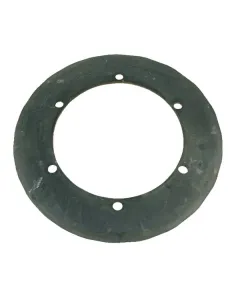 AGCO - 123010 - Schwadscheibe Fella
