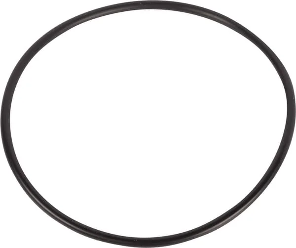 AGCO - 3005538X1 - O-Ring
