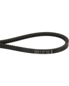 AGCO - 3780616M91 - Keilriemen