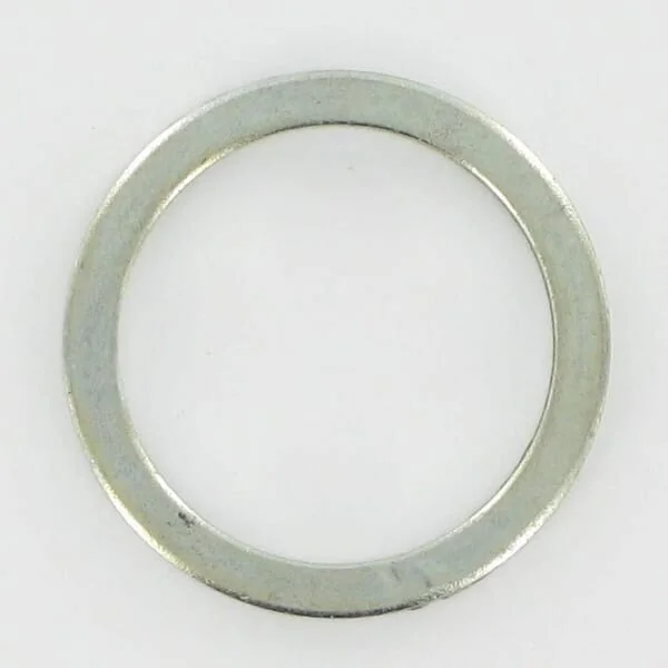 AGCO - 4101100660 - Ring Lely