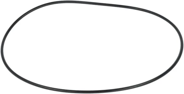 AGCO - F119200310200 - Dichtung