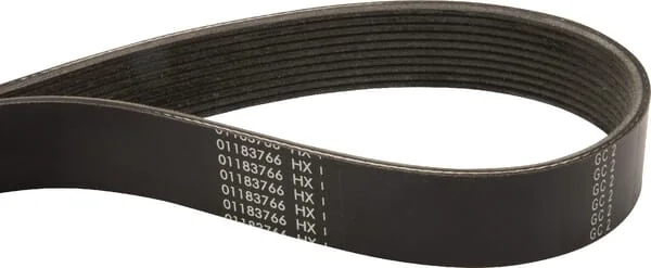 AGCO - F743200040010 - Keilriemen