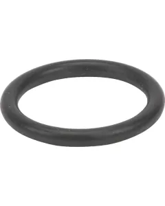 Agria - AGW02153 - O-Ring Dichtring 25x3,5