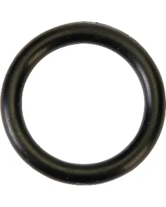 Agria - AGW18029 - O-Ring Dichtring