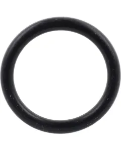 Agria - AGW73661 - O-Ring Dichtring