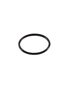 AL KO - AK401495 - O-Ring 31,00/2,50