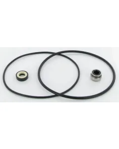 AL KO - AK406098 - Dichtungssatz HW 800/1000/1300N
