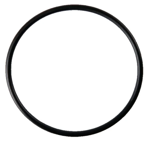 Amazone - 0208610 - O-Ring 73,03 x 3,53
