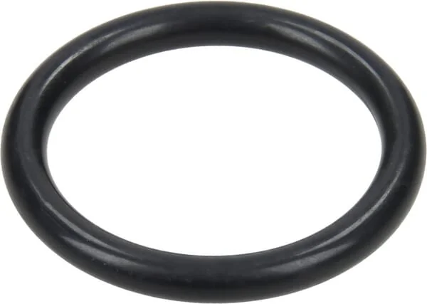 Annovi Reverberi - 320030 - O-Ring 31x4mm 90 Shore HNBR Schwarz Annovi Reverberi