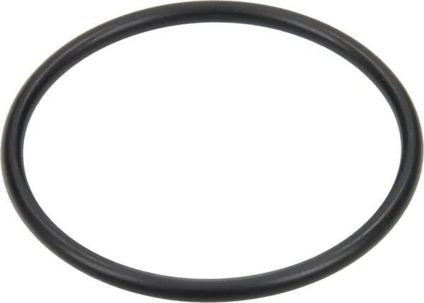 Annovi Reverberi - 620210 - O-Ring 40,94x2,62mm 70 Shore EPDM Schwarz Annovi Reverberi