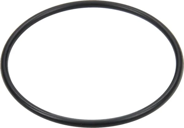 Annovi Reverberi - 650920 - O-Ring 335,92x6,99mm 70 Shore Schwarz Annovi Reverberi