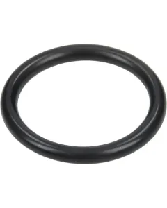 Annovi Reverberi - 680070 - O-Ring 31,5x4,25mm 70 Shore Schwarz Annovi Reverberi