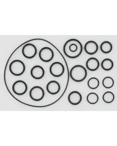 Annovi Reverberi - AR2409 - O-Ring-Satz für AR202 / 252