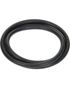 Arag - 350440020 - Dichtung 170,82x6,99mm 70 Shore Schwarz