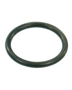Arag - G10041 - O-Ring 20,29x2,62 mm 70 Shore EPDM Schwarz