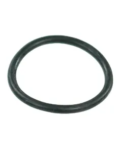 Arag - G10061 - O-Ring 29,2x3 mm 70 Shore EPDM Schwarz